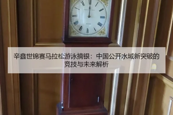 xin-xin-shi-jin-sai-ma-la-song-you-yong-zhai-yin-zhong-guo-gong-kai-shui-yu-xin-tu-po-de-jing-ji-yu-wei-lai-jie-xi-2-862.jpg