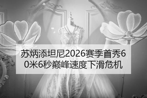 su-bing-tian-tan-ni-sai-ji-shou-xiu-mi-miao-dian-feng-su-du-xia-hua-wei-ji-3-420.jpg